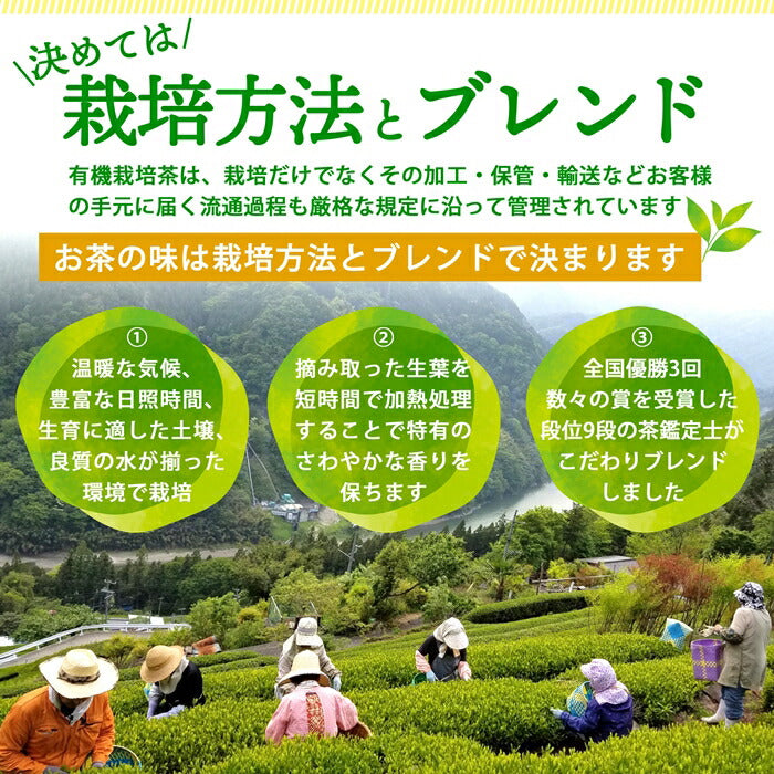 YAMASAN Kyoto Uji Organic Powdered Green Tea 80g