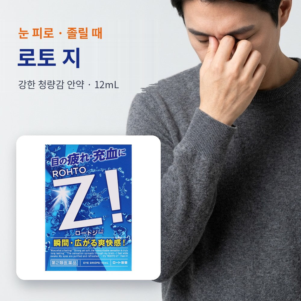 로토 지