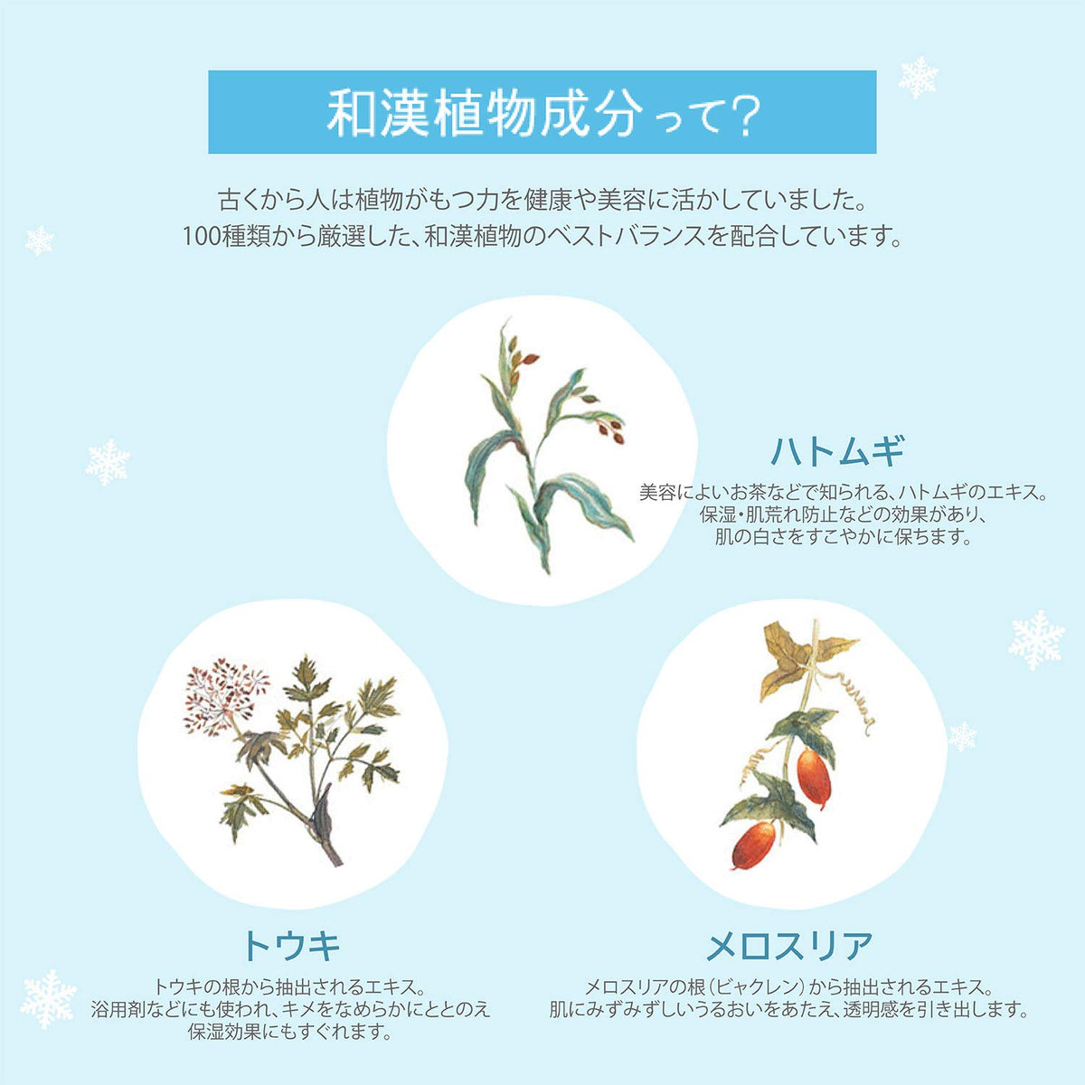 코세 설기정 약용 BB 크림 30g