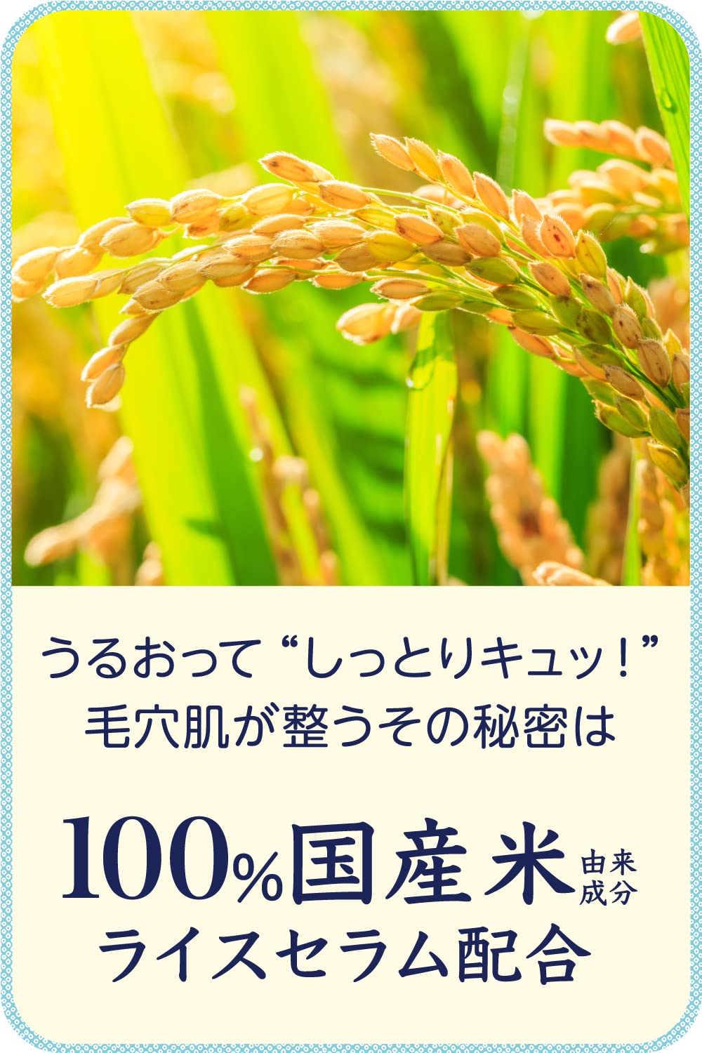 케아나나데시코 쌀 마스크팩 10매