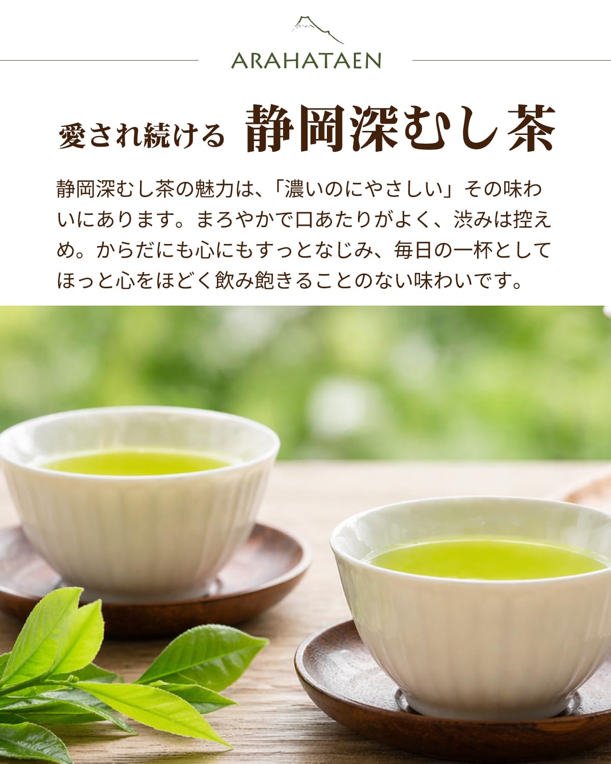 荒畑園 静岡茶 ふくろう 缶 80g×2本 箱入り 緑茶 お茶 ギフト 鈴子缶 プレゼント 茶葉 深蒸し茶