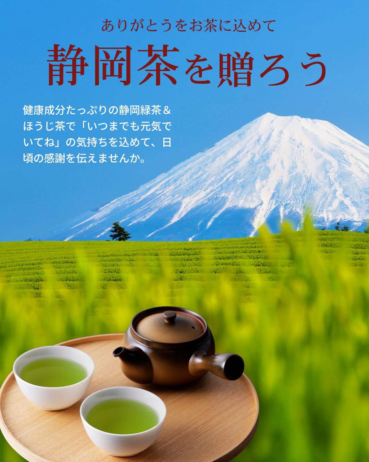 荒畑園 静岡茶 ふくろう 缶 80g×2本 箱入り 緑茶 お茶 ギフト 鈴子缶 プレゼント 茶葉 深蒸し茶