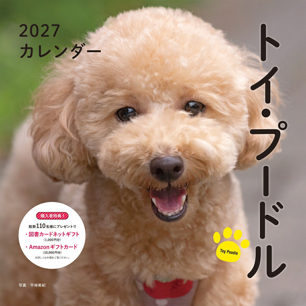 2027 toy poodle calendar Seibundo Shinkosha
