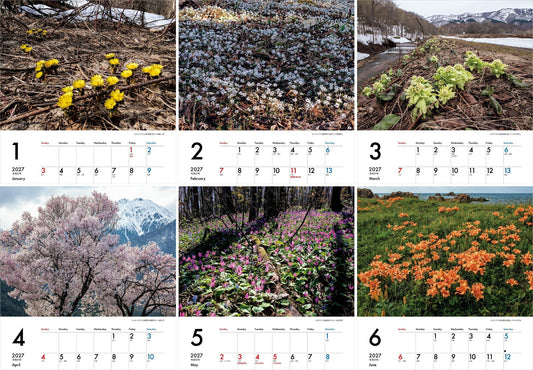Yamakei 2027 Japan flower journey calendar inside page